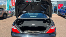 Mercedes-Benz SLK 250 CDI BlueEFFICIENCY 2dr Tip Auto Diesel Roadster